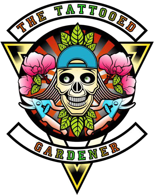 “a Magical Story That Follows A Little Creature Through - Emblem Clipart (539x687), Png Download