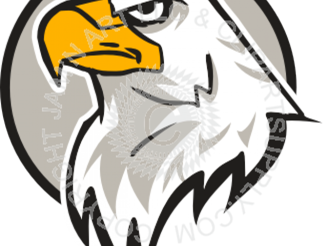 Clipart Of The Day - Eagle Head - Png Download (640x480), Png Download