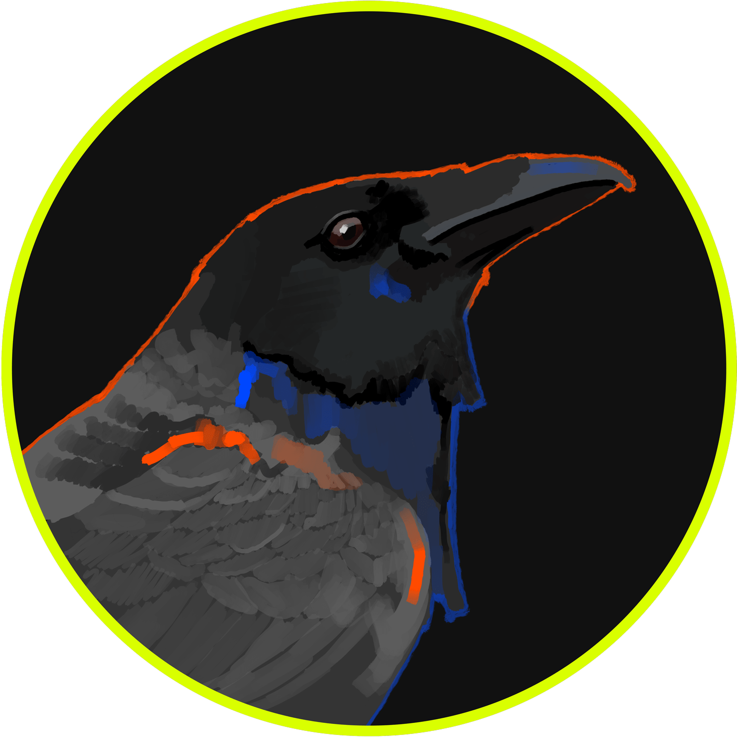 The Name - American Crow Clipart (1500x1500), Png Download