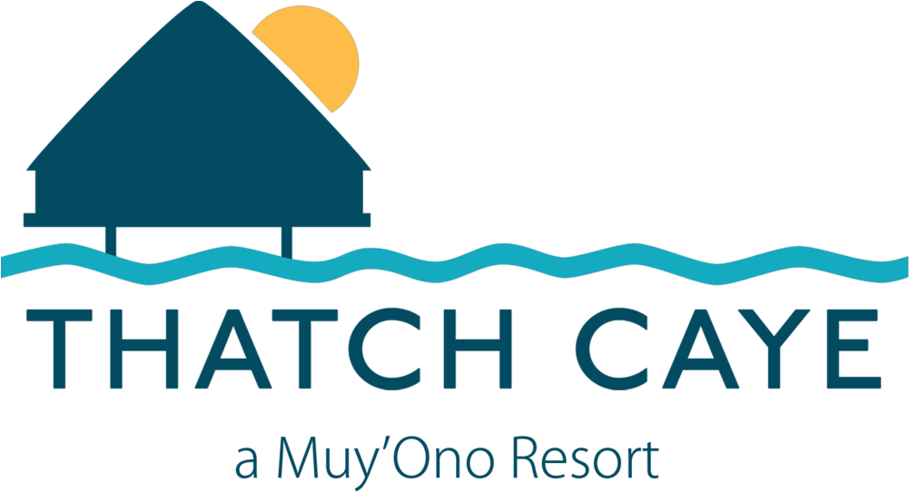 Tiki Hut Clipart - Png Download (1000x555), Png Download