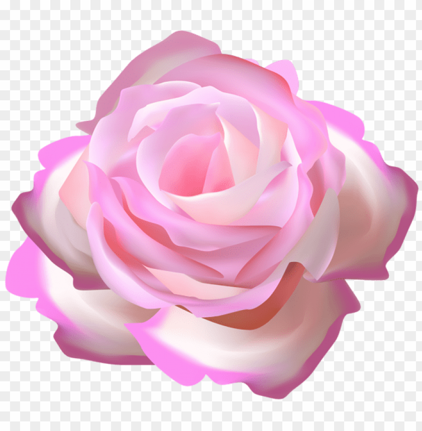Download Pink Rose Decorative Transparent Png Images - Transparency Clipart (840x859), Png Download