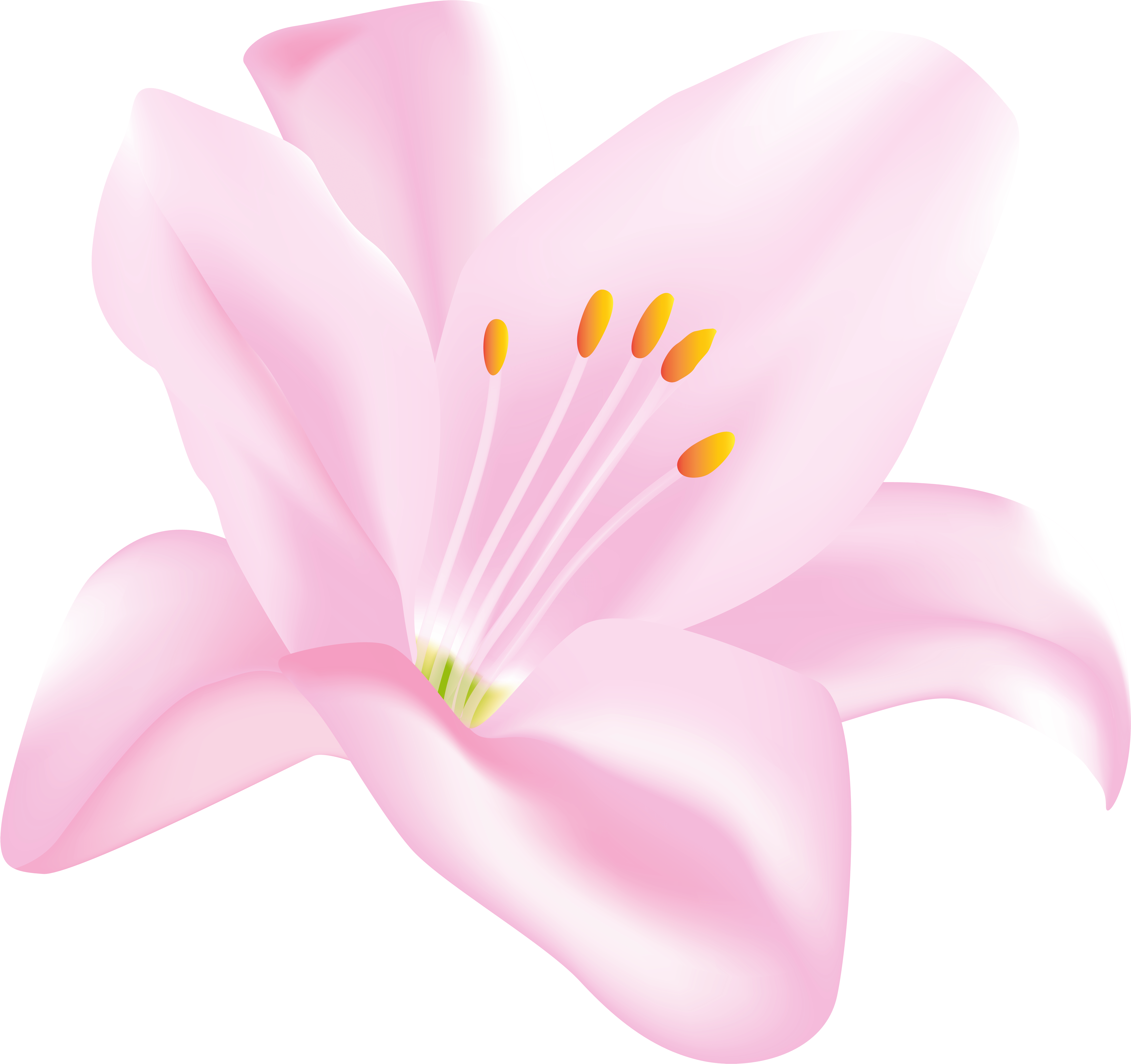 Lilies Clipart - Png Download (8000x7522), Png Download