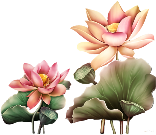 Page 64 Views Album, Yandex, Clip Art, Pictures - Tubes Transparents Lotus Pour Blog - Png Download (600x600), Png Download