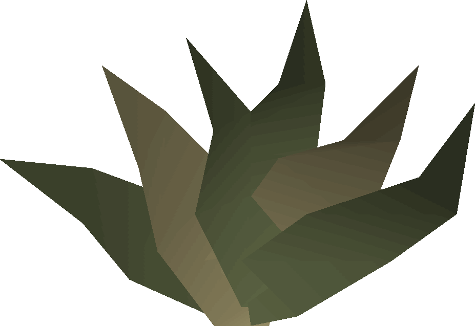 Weed Png Dry - Goutweed Osrs Clipart (927x637), Png Download