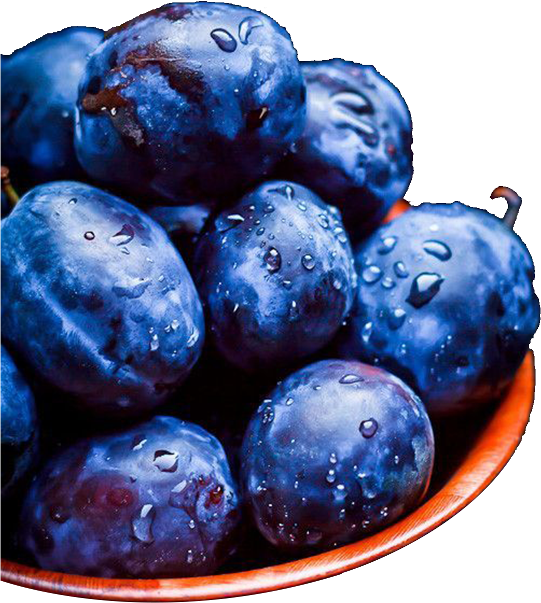 Blueberry Cheesecake Tart Transprent - Blueberry Clipart (1417x1417), Png Download