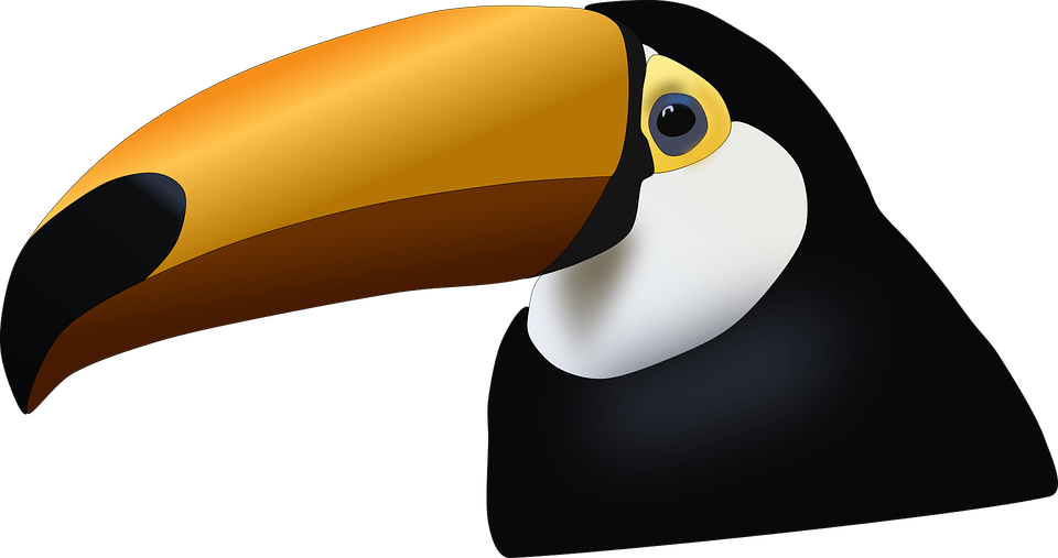 Toucan - Tucano Png Clipart (960x507), Png Download