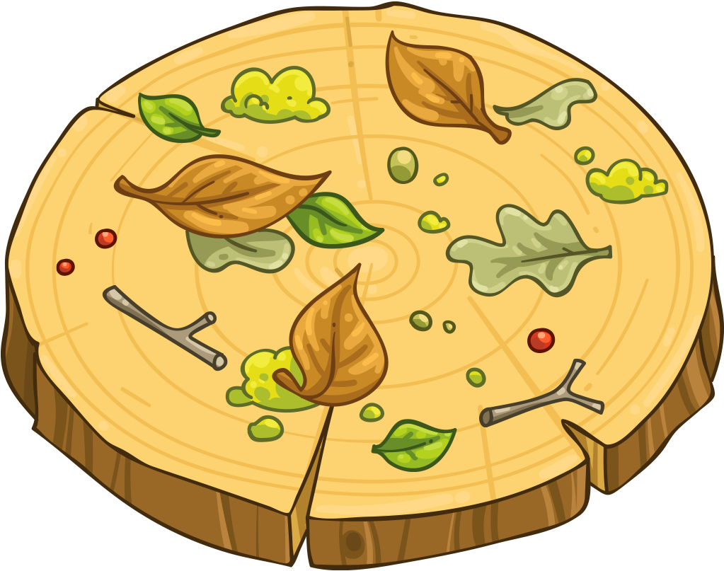 World's First Raw Pizza - Tortoise Clipart (1024x1024), Png Download