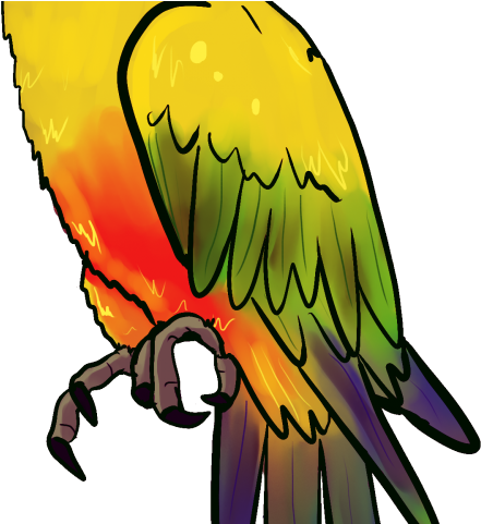 Drawn Parrot Yellow Parrot - นก แก้ว Png Clipart (640x480), Png Download
