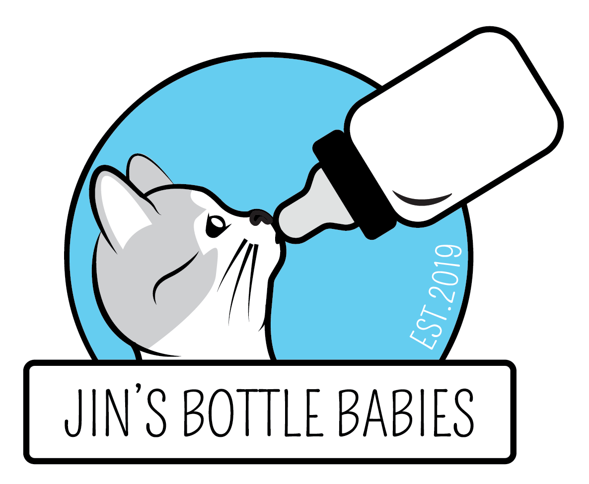 Clip Art - Png Download (1186x975), Png Download