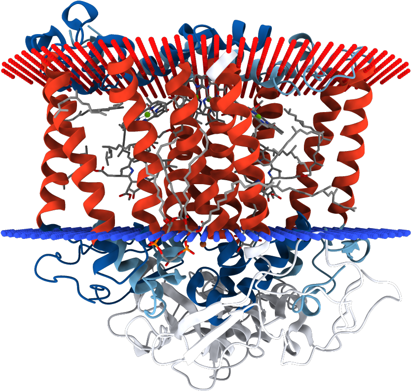 Photosynthetic - Graphic Design Clipart (1000x1000), Png Download