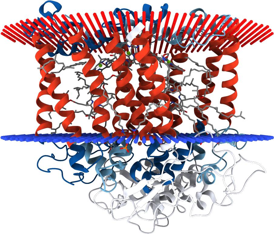 1f6n - Graphic Design Clipart (1000x1000), Png Download