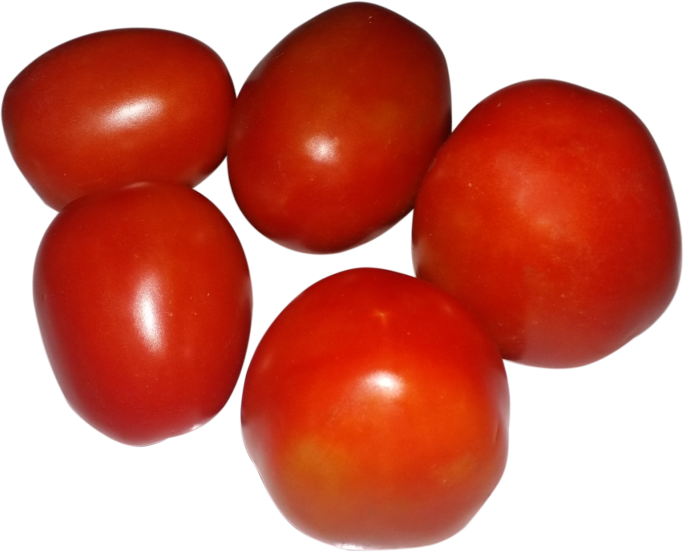 Tomato Clipart Ripe - Plum Tomato - Png Download (1352x1091), Png Download