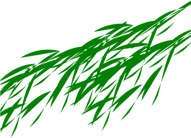 Green Leaves Clipart Bamboo Leave - Panda Eating Bamboo Png Transparent Png (640x480), Png Download