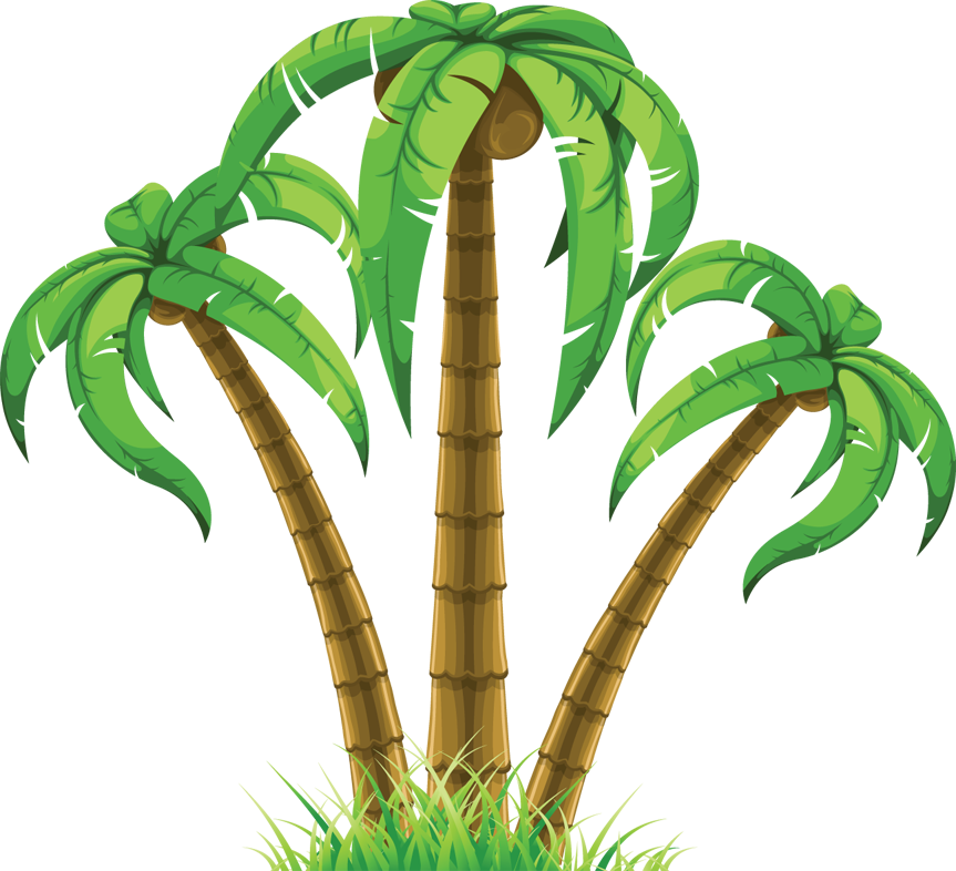 Palm Tree Clip Art - Tropical Tree Clipart - Png Download (863x786), Png Download