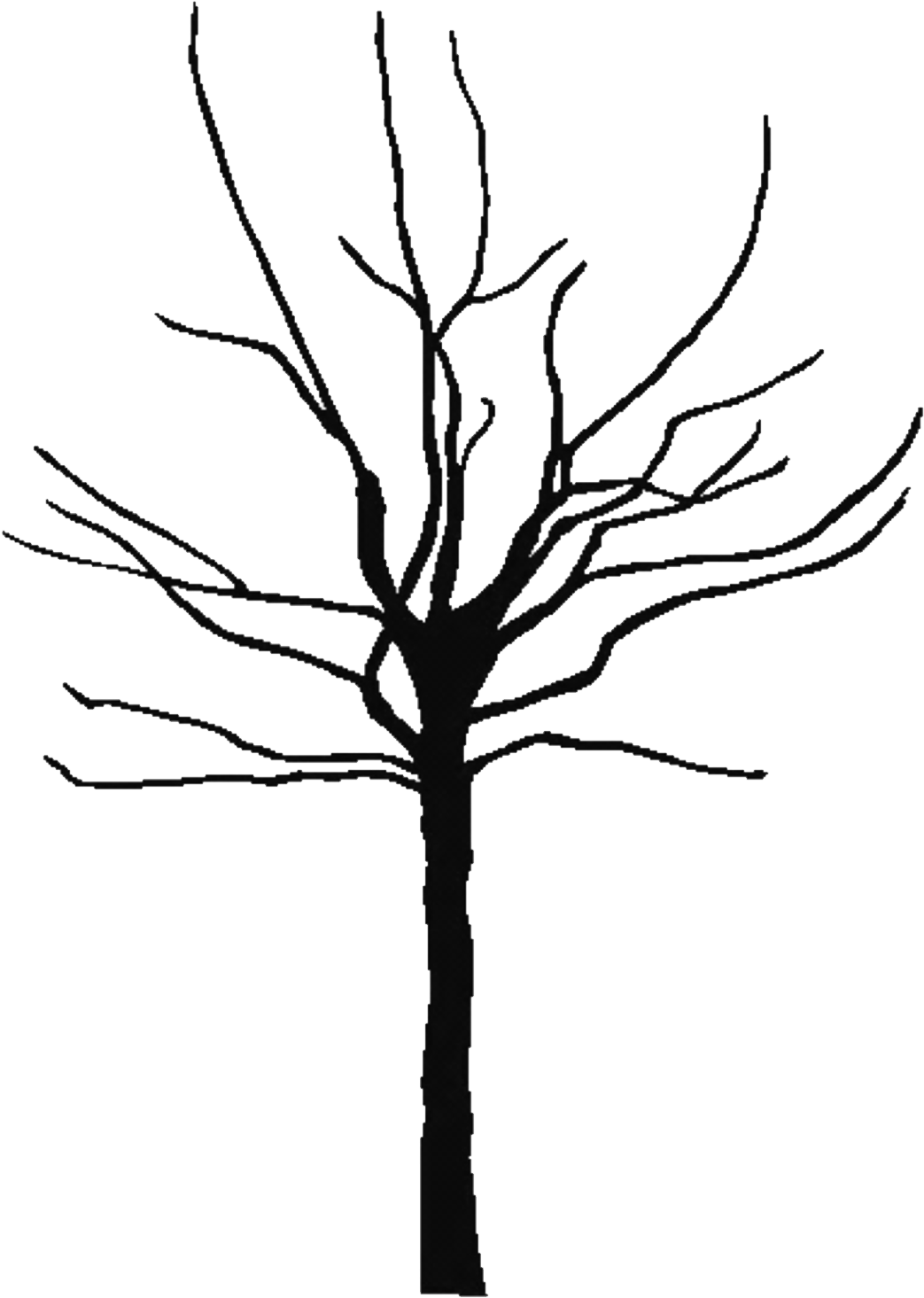 Coloring Page Of A Oak Tree Png - Tree Trunk Silhouette Png Clipart (1080x1488), Png Download