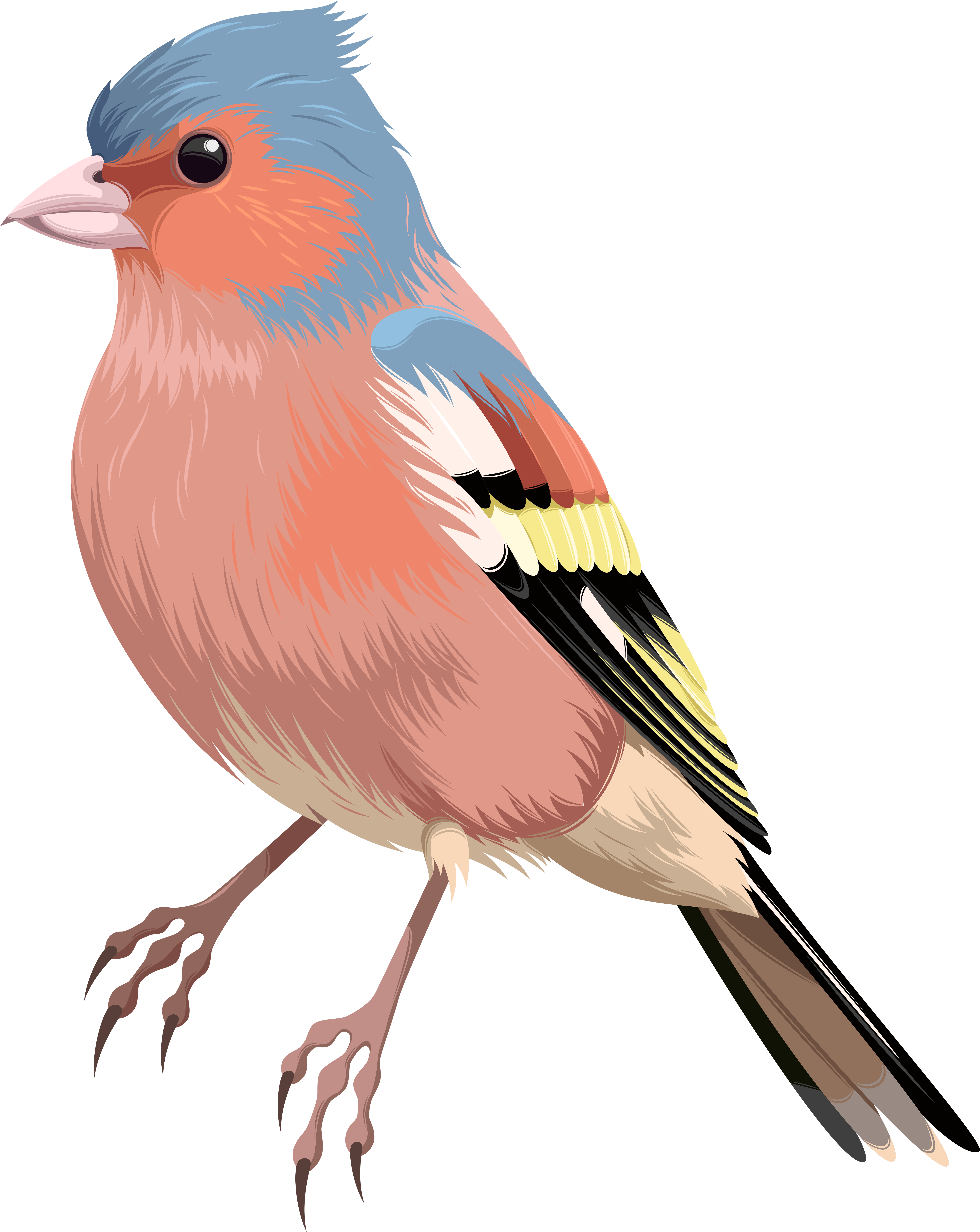 Bird Png Clip Art Transparent Png (6368x8000), Png Download