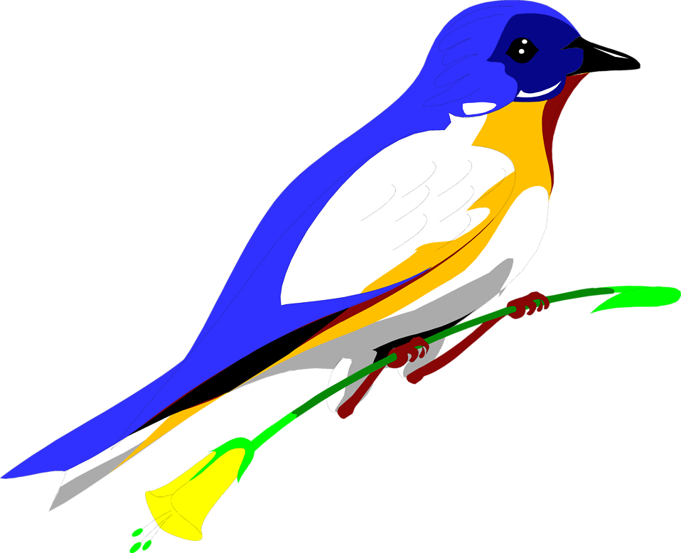 Flying Blue Jay Png Art - Parrot Transparent Background Free Clipart (958x778), Png Download