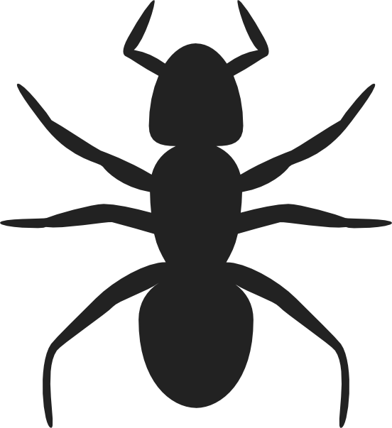 Ant Clip Art - Png Download (552x603), Png Download