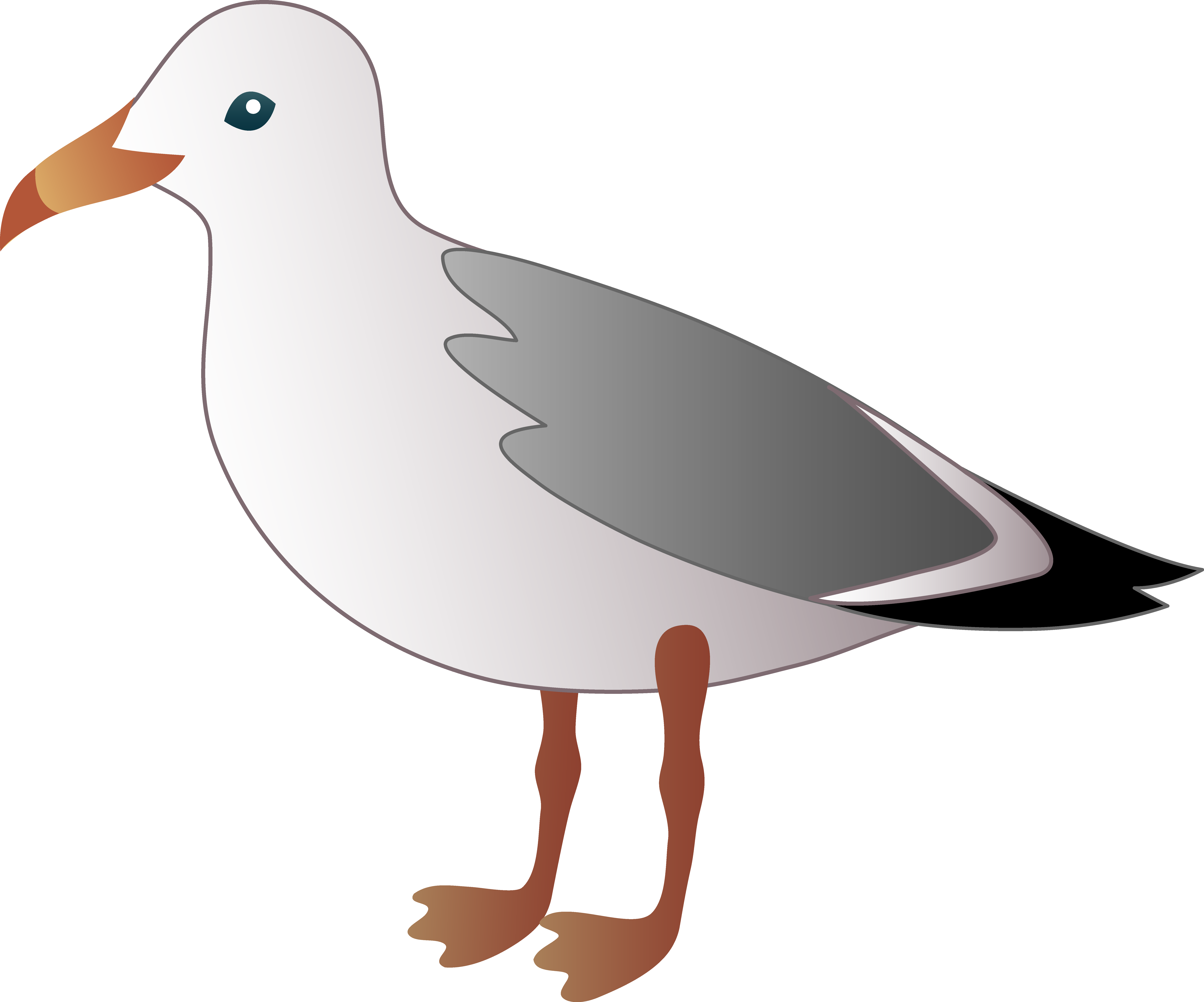Free Seagull Cliparts, Download Free Clip Art, Free - Seagull Clipart - Png Download (7458x6204), Png Download