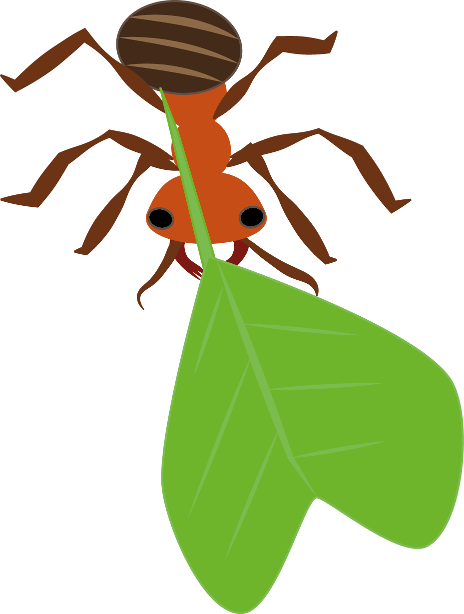 Clip Art - Png Download (929x1229), Png Download