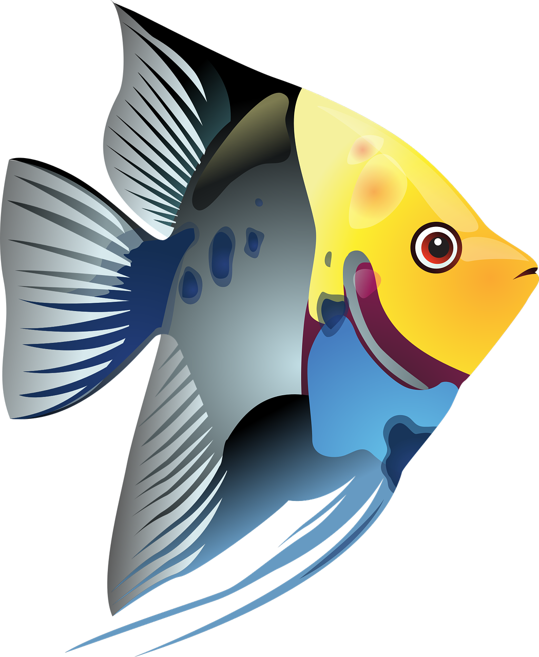 Clipart Tropical Fish - Png Download - Full Size Clipart (#4998688