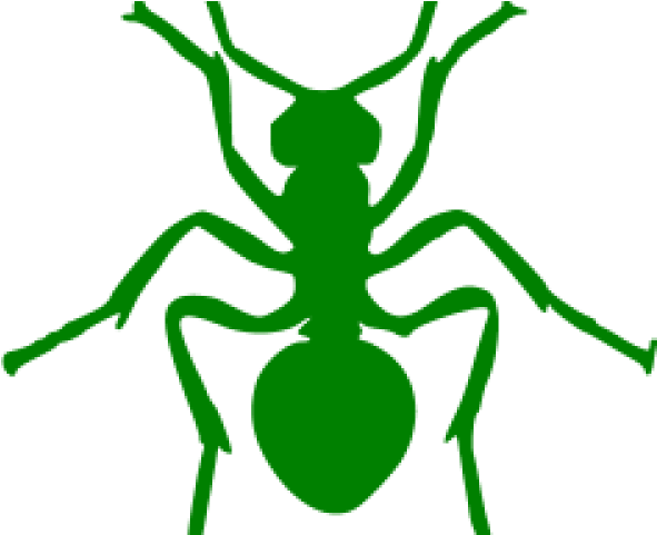 Transparent Ant Silhouette Clipart (640x480), Png Download