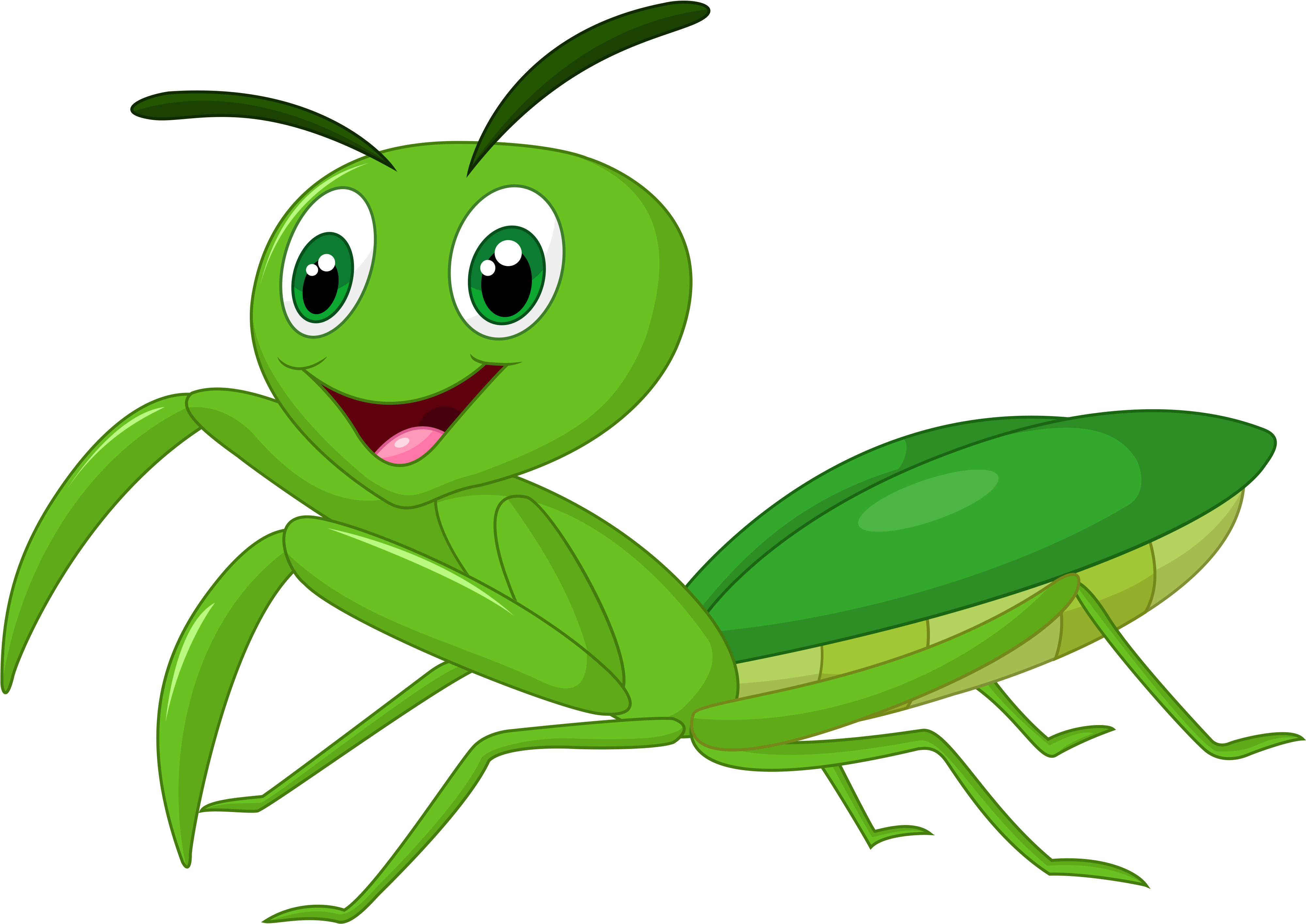 Mantis Religiosa Dibujo Animado Clipart (4000x2846), Png Download