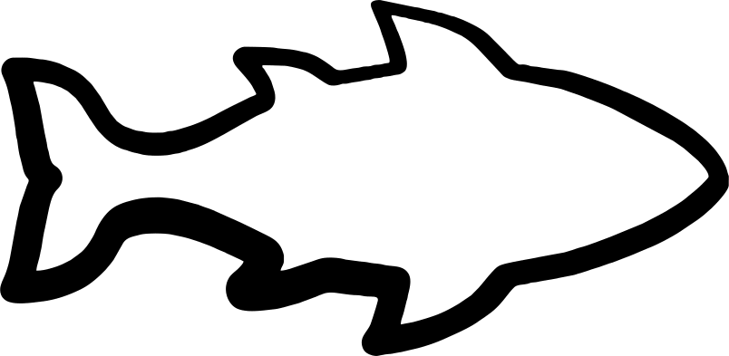 Fish Outline Clipart - Fish Outline Transparent Background - Png Download (804x393), Png Download