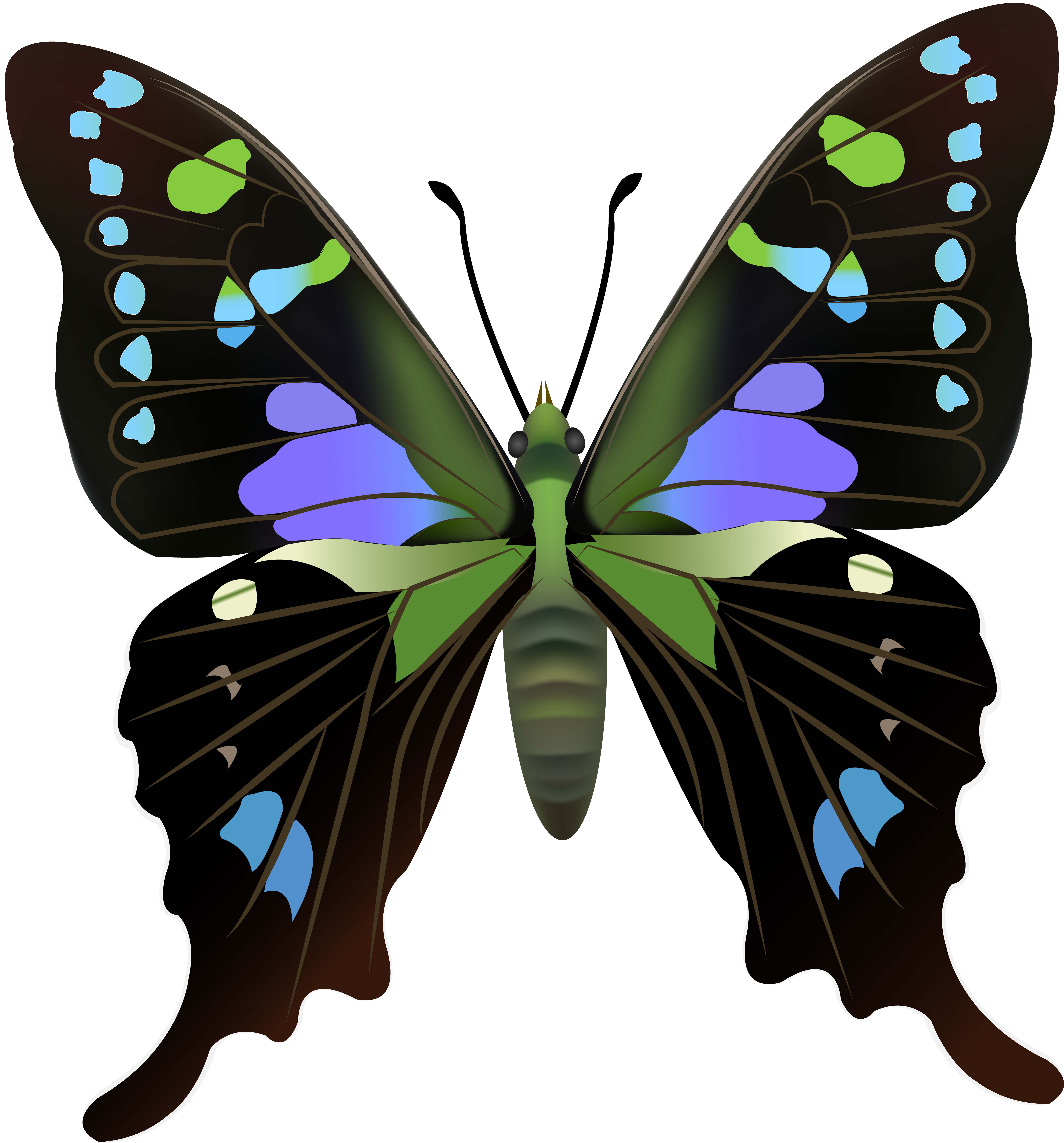 Transparent Butterflies Clipart - Png Download (7450x8000), Png Download
