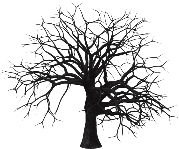 Dead Tree Clipart Dry Tree - Dry Tree Images Png Transparent Png (1024x645), Png Download