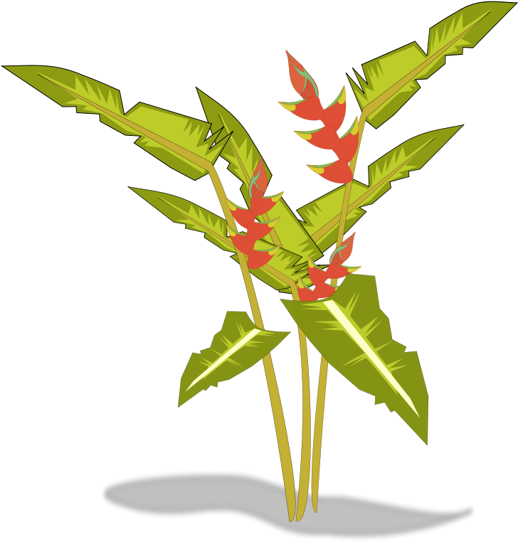 Tree-12b Free Heliconia - Transparent Tropical Plants Clipart - Png Download (728x762), Png Download