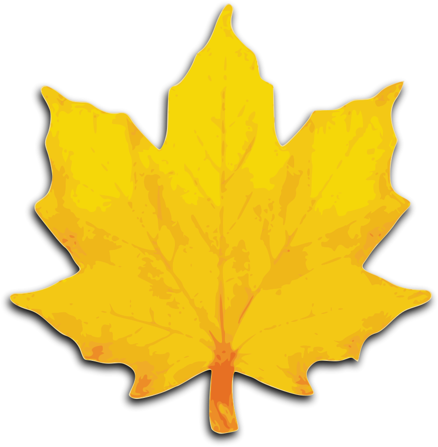 Orange Maple Leaf Clipart - Png Download (884x900), Png Download