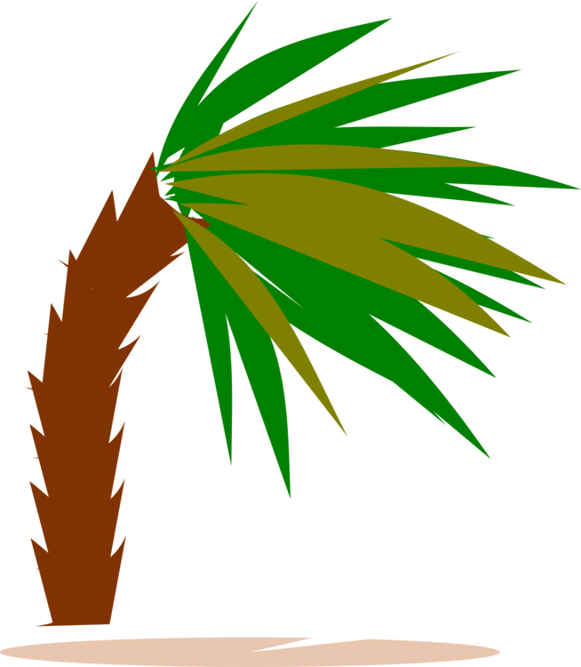 Palmtree Clipart (566x800), Png Download