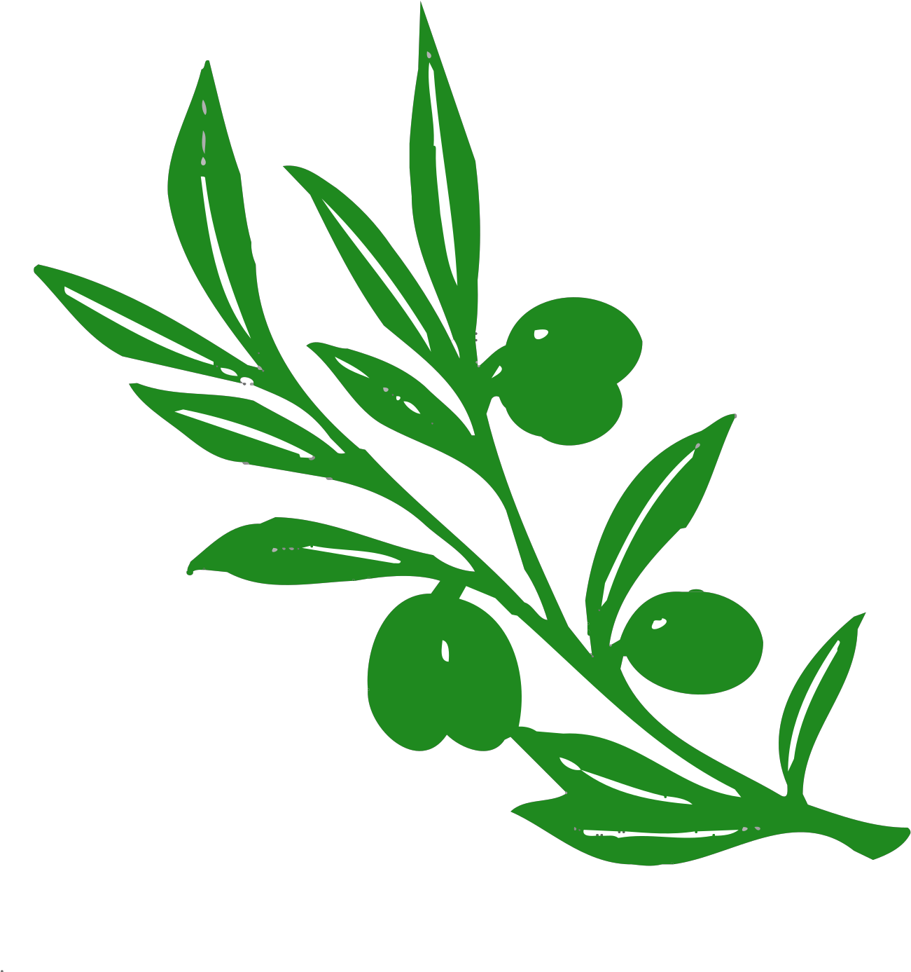 Olive Tree Branch Vector Image - Olive Tree Branch Clipart (600x600), Png Download