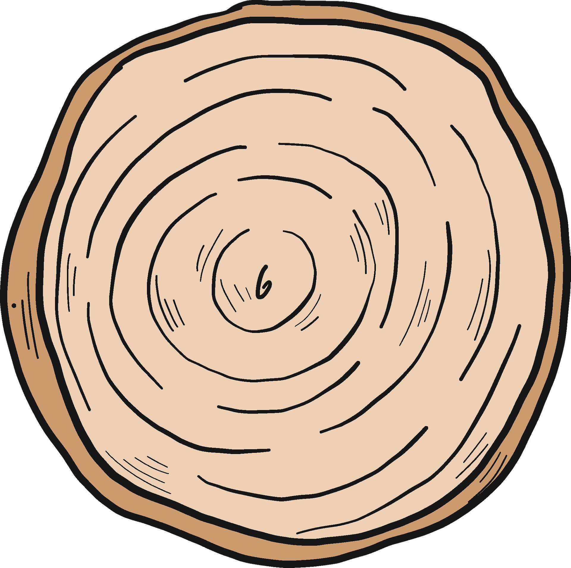 Tree Trunk Clipart - Png Download (800x796), Png Download