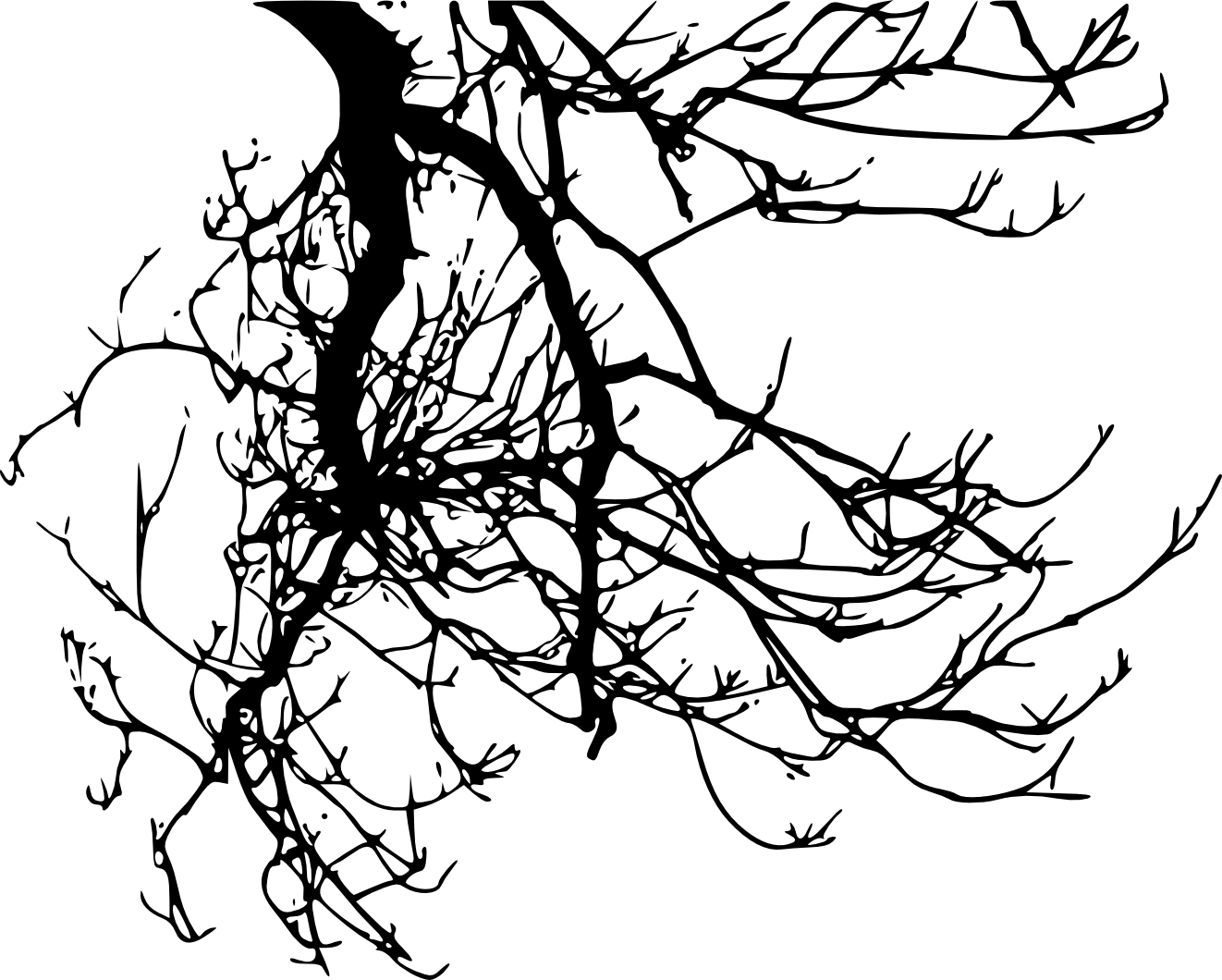 Transparent Tree Branch Clipart Black And White - Tree Branch Transparent Background - Png Download (1322x1060), Png Download