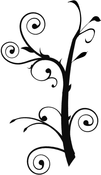 Swirl Vines Clipart - Png Download (528x598), Png Download