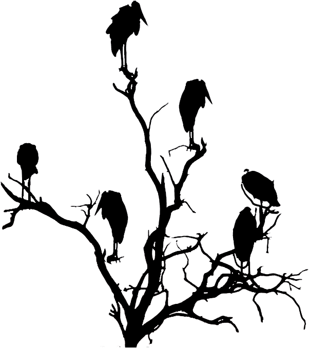 Vulture In A Tree Silhouette - Clipart Silhouette Ideas Art - Png Download (698x877), Png Download