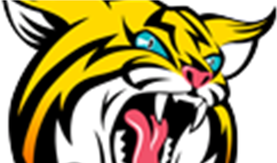 Banner Freeuse Download Bobcat Clipart Tiger - Boca High School Mascot - Png Download (916x522), Png Download