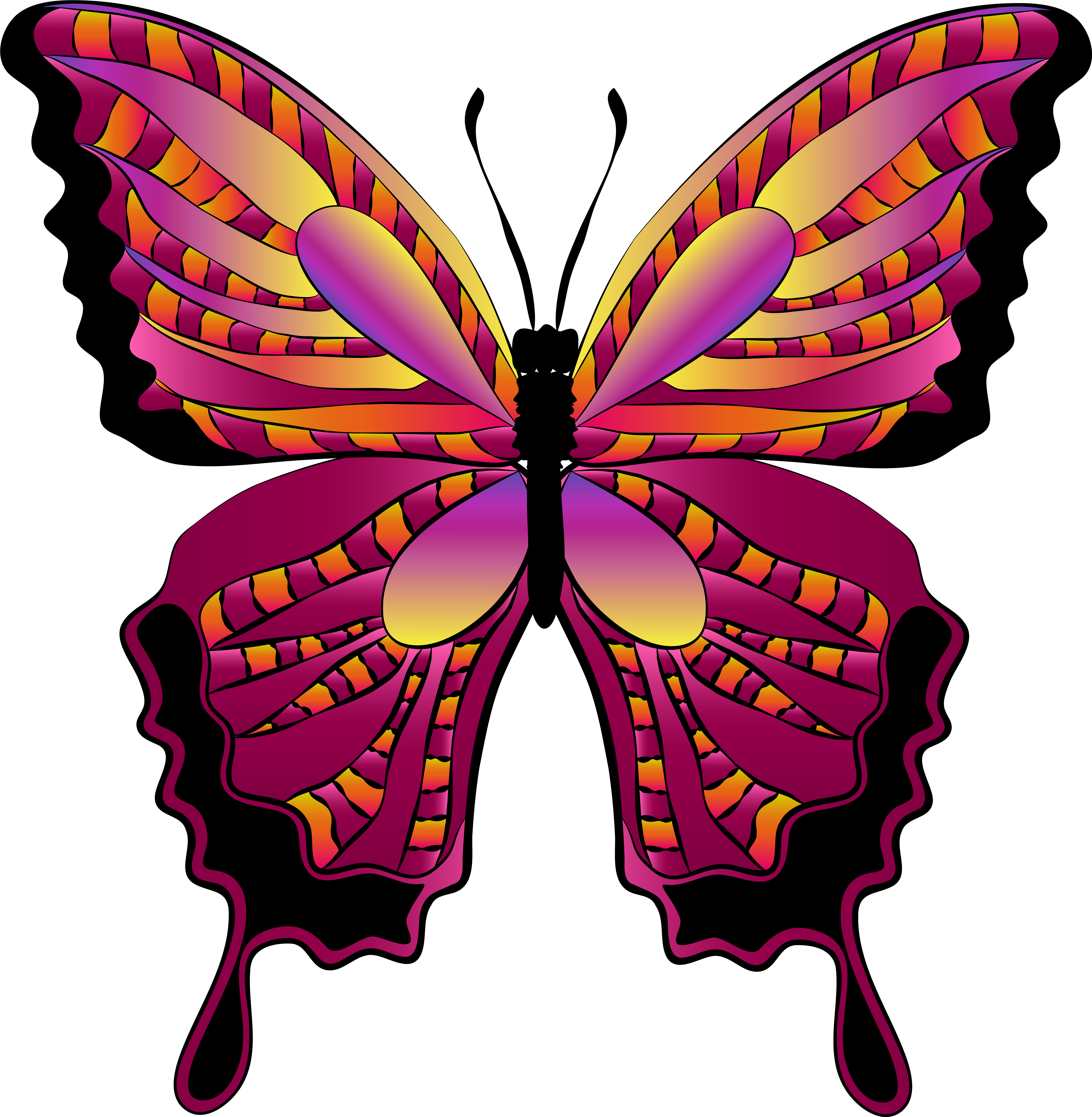 Butterfly Clipart - Png Download (5647x5768), Png Download