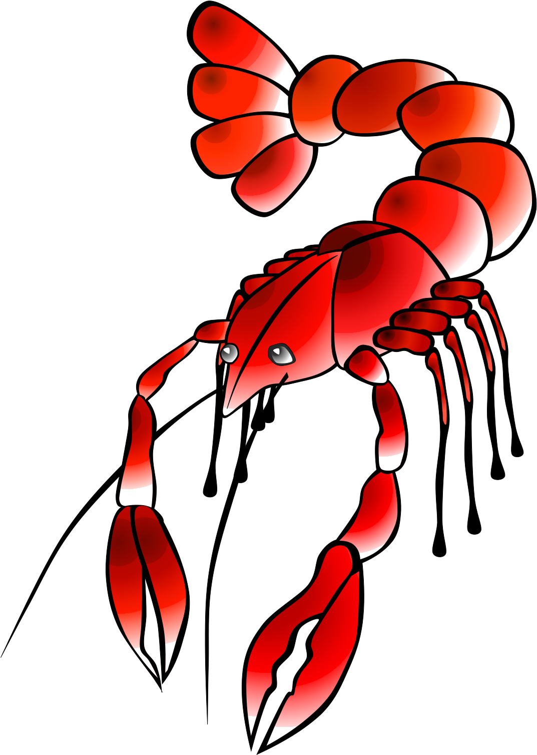 Vector Clip Art - Vintage Crawfish Boil Clipart - Png Download (600x842), Png Download