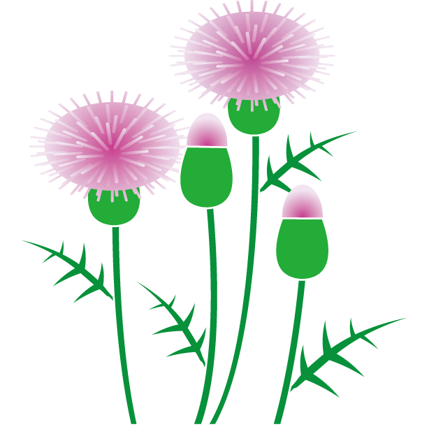 Thistle Clipart - Clip Art - Png Download (614x611), Png Download