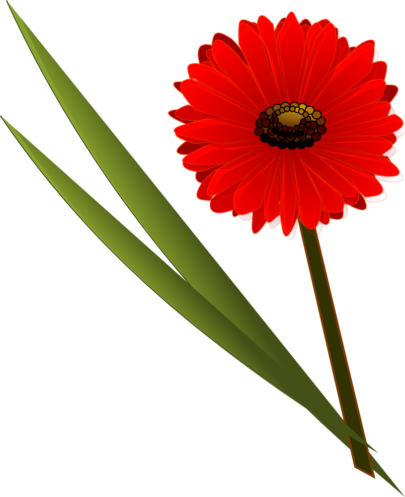 Flowers Gerbera - Flower Clip Art - Png Download (815x1000), Png Download
