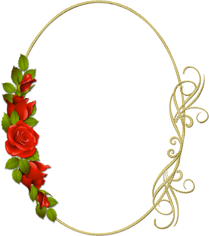 Фотки Floral Border, Art Clipart, Framed Art, Clip - Garden Roses - Png Download (800x800), Png Download