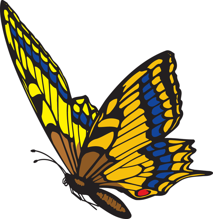 Diamonsforever31 - Blogspot - - Flying Butterfly Clipart Png Transparent Png (717x736), Png Download