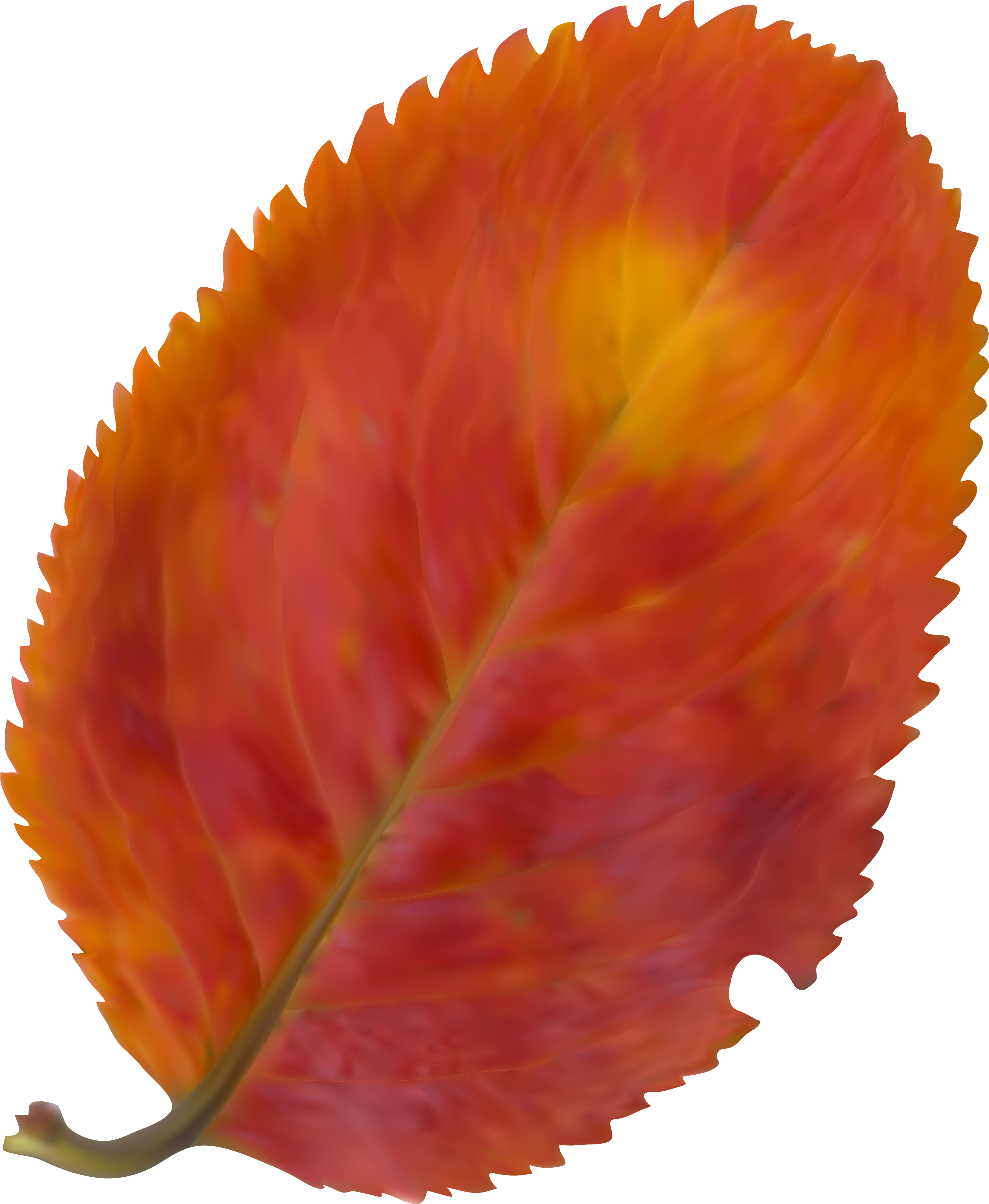 Fall Clip Art Images Free - Png Download (3286x4000), Png Download
