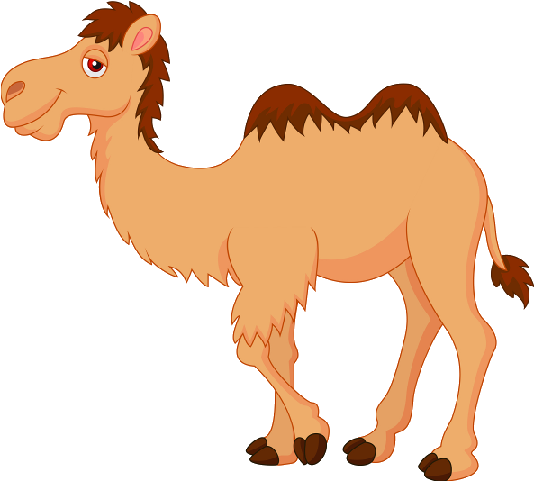 Top 87 Camel Clip Art Free Clipart Image - Cartoon Image Of Camel - Png Download (600x600), Png Download