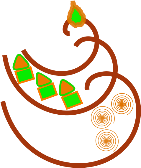 Free La Pasteleria De Maria - Cake Clipart (566x800), Png Download