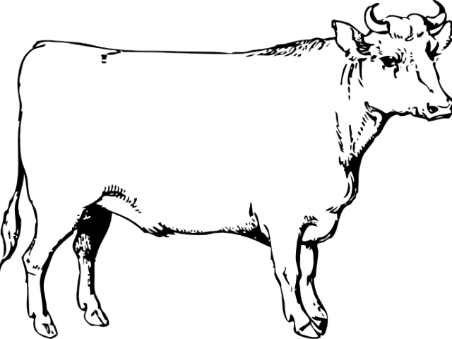 Drawn Ox Clip - Ox Clip Art - Png Download (640x480), Png Download