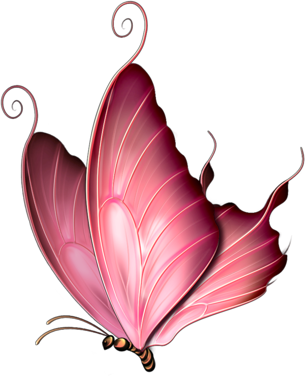 ‿✿⁀butterflies‿✿⁀ Butterfly Clip Art, Butterfly Drawing, - Pink Butterfly Throw Blanket - Png Download (683x800), Png Download